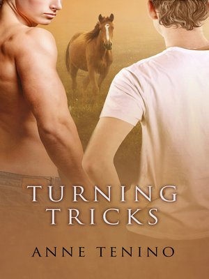 cover image of Turning Tricks